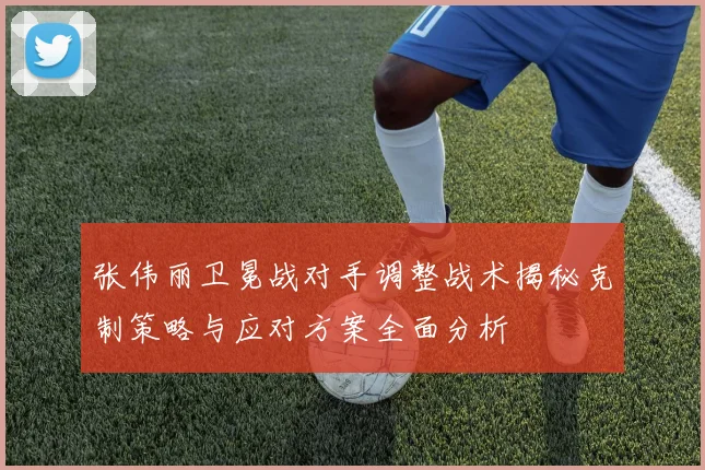 张伟丽卫冕战对手调整战术揭秘克制策略与应对方案全面分析