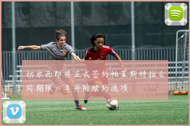 切尔西即将正式签约帕莱斯特拉合同期限六年并附续约选项